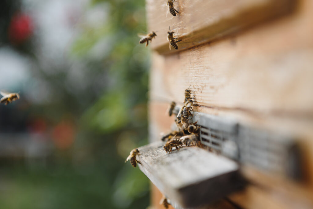 InterTec Pest Control